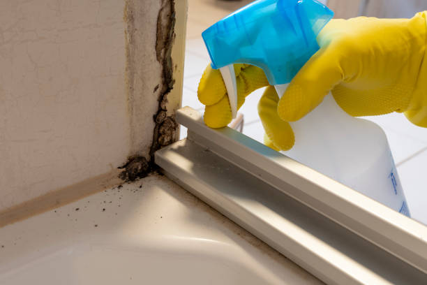 Mold Removal and Inspection in Clancy, MT