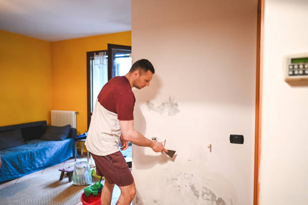Best Residential Mold Removal  in Clancy, MT